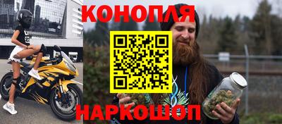 стафф Будённовск