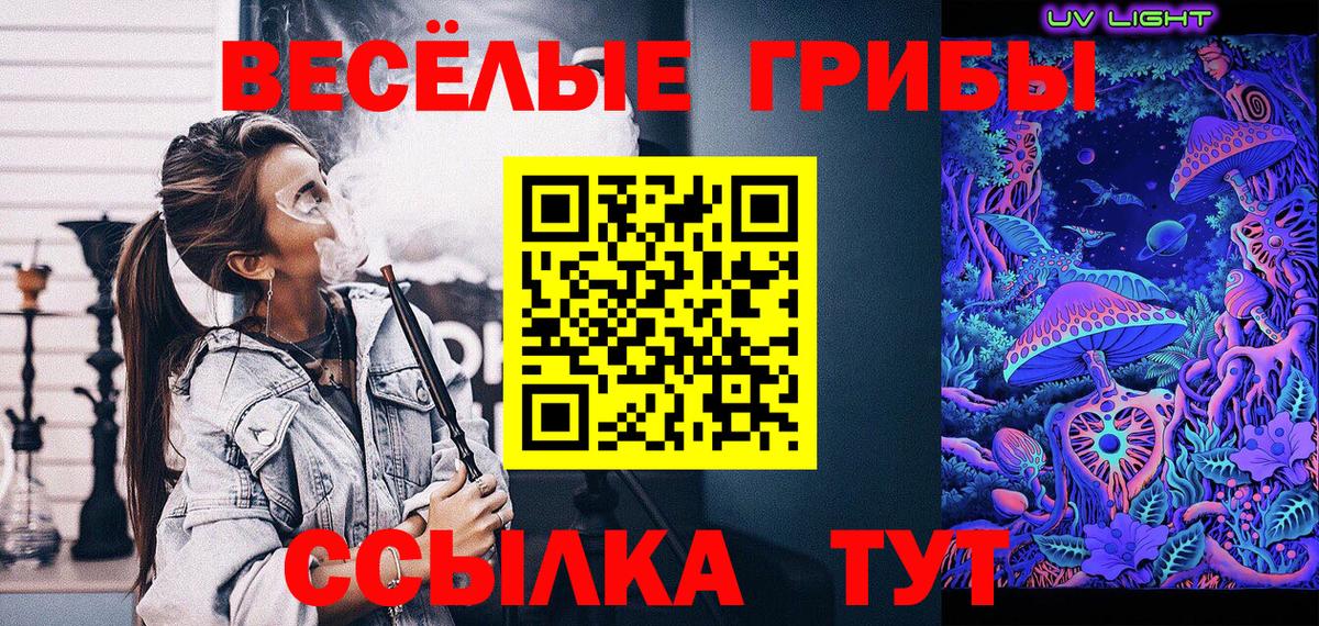 Заринск  Псилоцибиновые грибы Psilocybe  Вход с VPN 