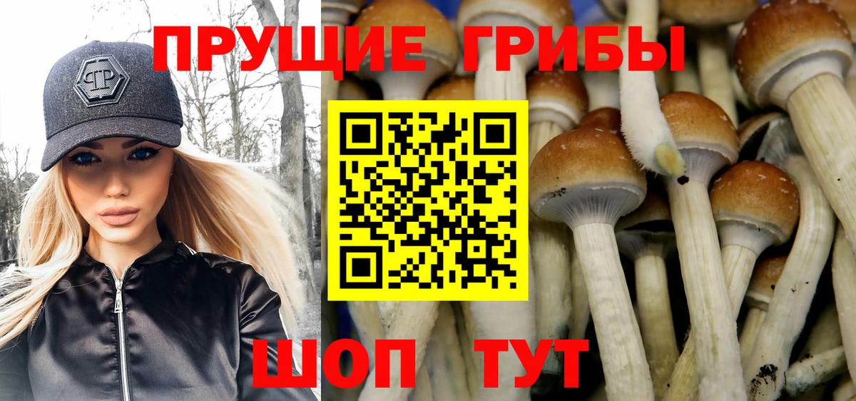 Галлюциногенные грибы Magic Shrooms Заринск